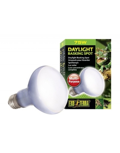 Exo-Terra Sun Glo Neodymium Basking Spot Lamps - 75 Watts