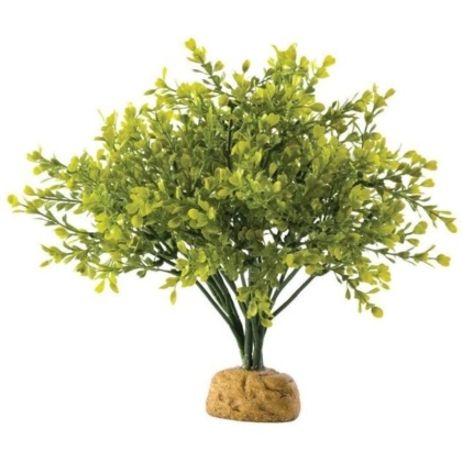 Exo Terra Boxwood Bush Terrarium Plant - 1 count