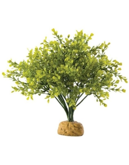 Exo Terra Boxwood Bush Terrarium Plant - 1 count