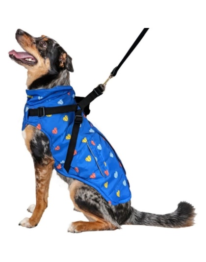 Fashion Pet Puffy Heart Harness Coat Blue - Medium