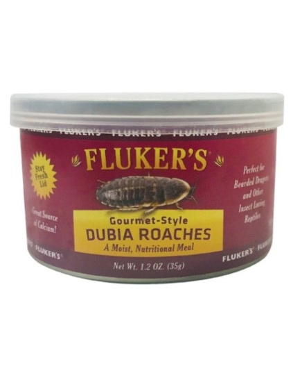 Flukers Gourmet Style Dubia Roaches - 1.2 oz