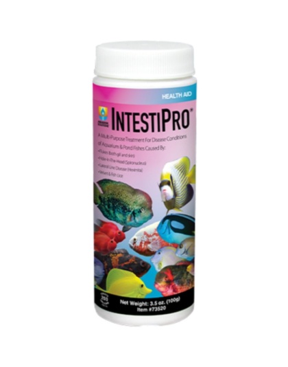 Hikari IntestiPro Powdered Intestinal Worm Treatment - 3.5 oz