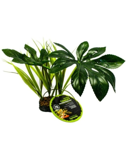 Komodo Jungle Canopy Terrarium Plant - 1 count