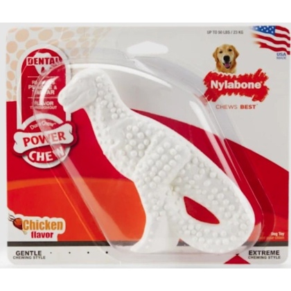 Nylabone Dinosaur Dental Dog Chew Chicken Flavor - 1 count