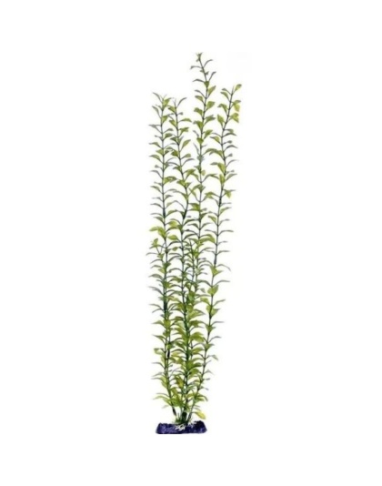 Penn Plax Sinkers Blooming Ludwigia Aquarium Plant Green - 13" tall