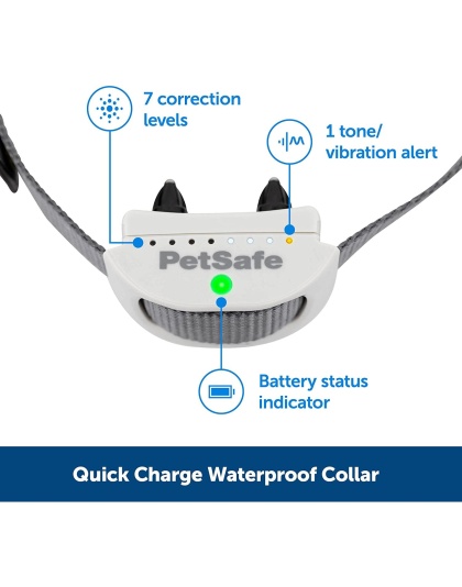 PetSafe Classic In-Ground Fence Receiver Collar