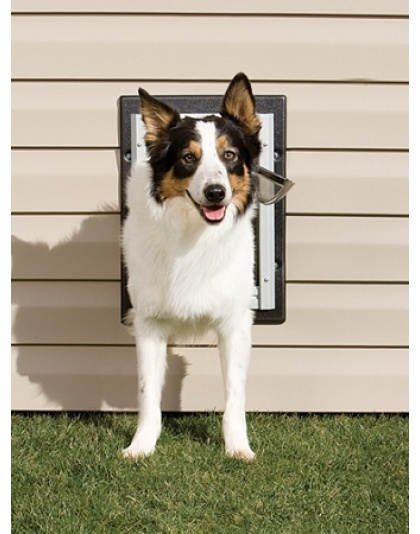 PetSafe Wall Dog Door - Medium