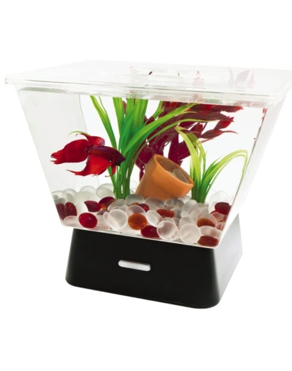 Tetra Betta Tank with LED Base Lighting - 1 Gallon Aquarium