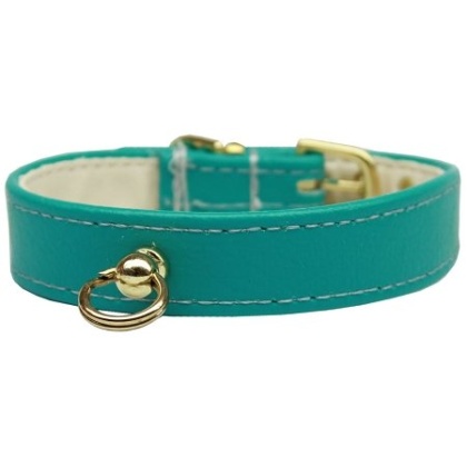 # 70 Dog Collar Turquoise Size 10