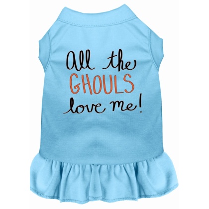 All the Ghouls Screen Print Dog Dress Baby Blue 4X (22)