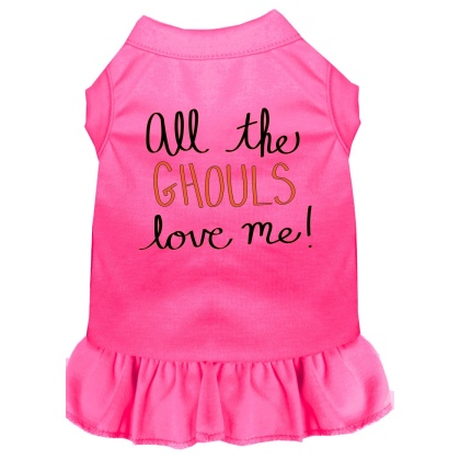 All the Ghouls Screen Print Dog Dress Bright Pink 4X (22)