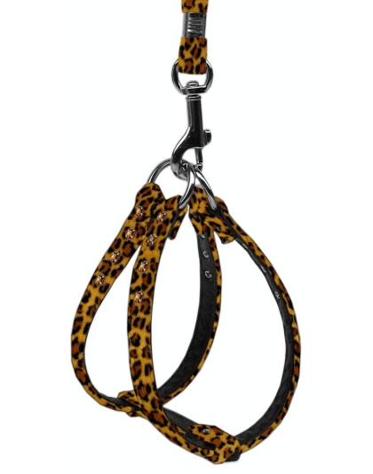 Animal Print Step In Harness Leopard 10