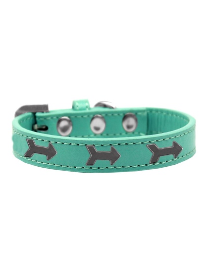 Arrows Widget Dog Collar Aqua Size 10