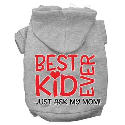 Ask My Mom Screen Print Dog Hoodie Grey L