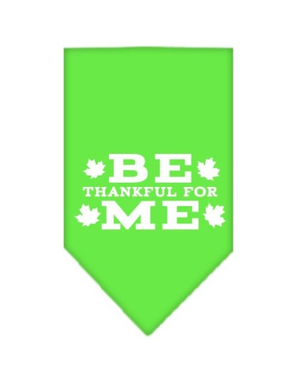 Be Thankful for Me Screen Print Bandana Lime Green Large
