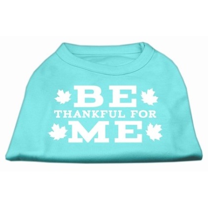 Be Thankful for Me Screen Print Shirt Aqua L