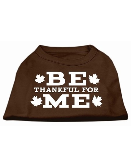 Be Thankful for Me Screen Print Shirt Brown Lg