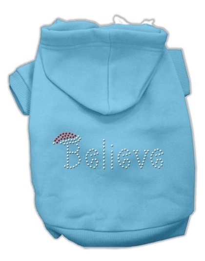 Believe Hoodies Baby Blue L