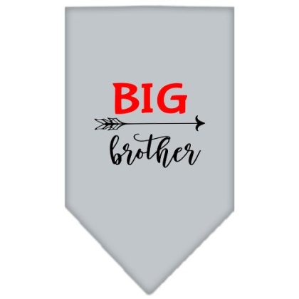 Big Brother Screen Print Bandana Grey Large