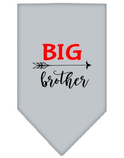 Big Brother Screen Print Bandana Grey Large