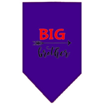 Big Brother Screen Print Bandana Purple Large