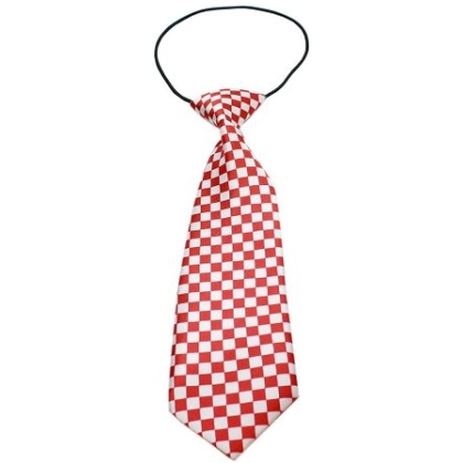 Big Dog Neck Tie Checkered Red