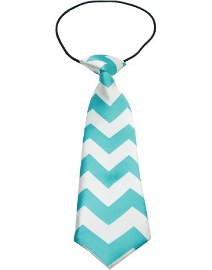 Big Dog Neck Tie Chevron Light Blue