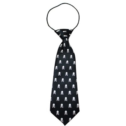 Big Dog Neck Tie Lil Skulls