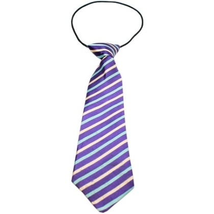 Big Dog Neck Tie Purple and Aqua Stripes