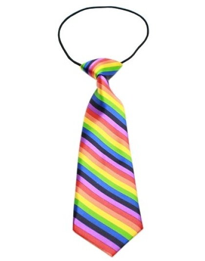 Big Dog Neck Tie Rainbow