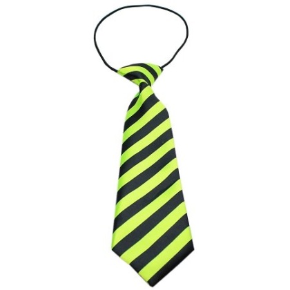 Big Dog Neck Tie Striped Lime