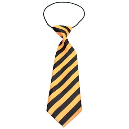 Big Dog Neck Tie Striped Orange