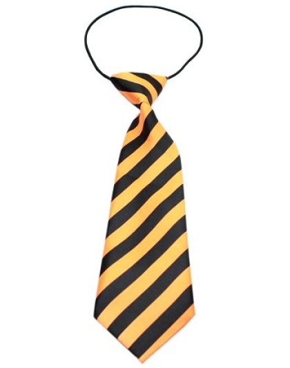 Big Dog Neck Tie Striped Orange