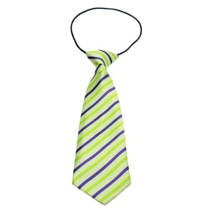 Big Dog Neck Tie Summer Breeze