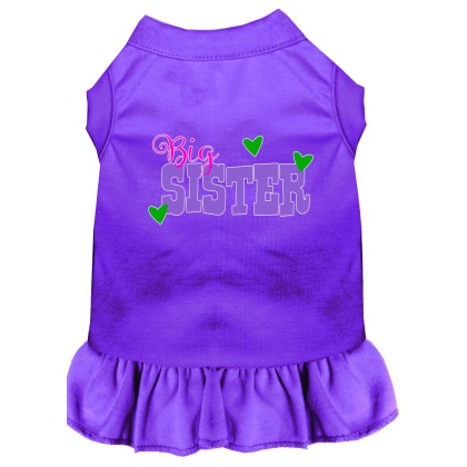 Big Sister Screen Print Dog Dress Purple 4X