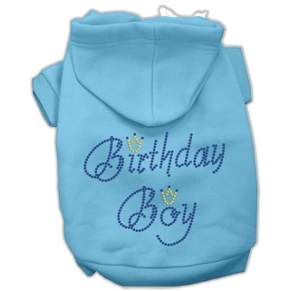 Birthday Boy Hoodies Baby Blue L