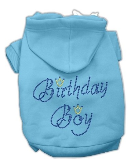 Birthday Boy Hoodies Baby Blue L