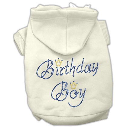 Birthday Boy Hoodies Cream L