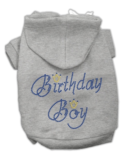 Birthday Boy Hoodies Grey L