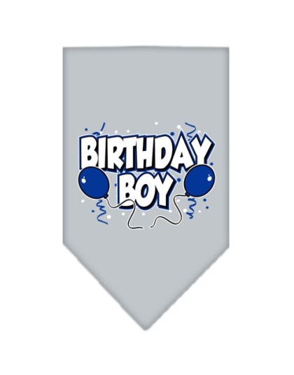 Birthday Boy Screen Print Bandana Grey Large