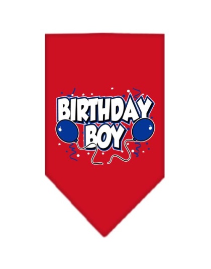 Birthday Boy Screen Print Bandana Red Large