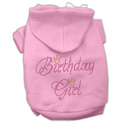 Birthday Girl Hoodies Pink L