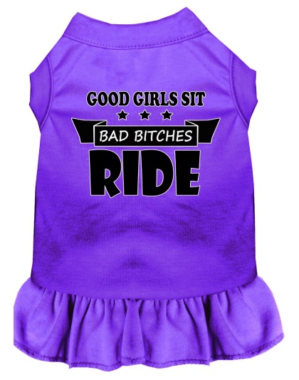 Bitches Ride Screen Print Dog Dress Purple 4X (22)