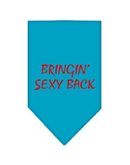 Bringin Sexy Back Screen Print Bandana Turquoise Large