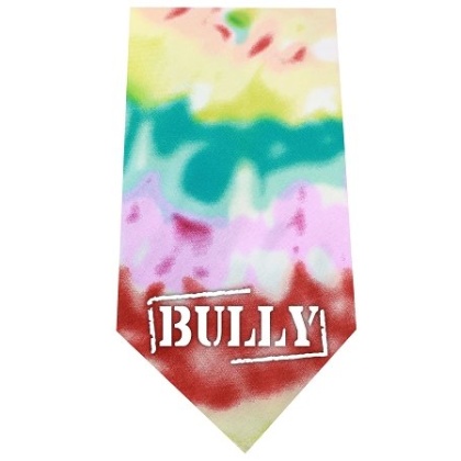 Bully Screen Print Bandana Tie Dye