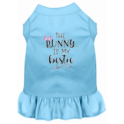 Bunny is my Bestie Screen Print Dog Dress Baby Blue 4X (22)