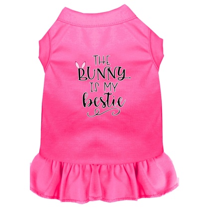 Bunny is my Bestie Screen Print Dog Dress Bright Pink 4X (22)