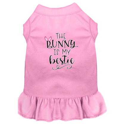 Bunny is my Bestie Screen Print Dog Dress Light Pink 4X (22)