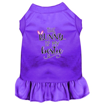 Bunny is my Bestie Screen Print Dog Dress Purple 4X (22)