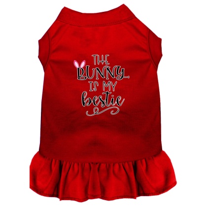 Bunny is my Bestie Screen Print Dog Dress Red 4X (22)